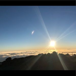 Meet your Posher, Bailey